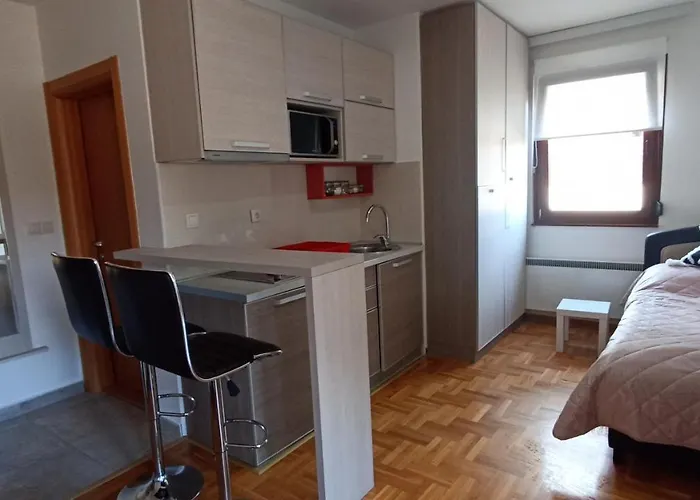 Zlatiborski Konaci K3 Apartman16 * Zlatibor